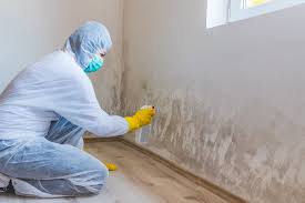 Best Black Mold Removal  in Macopin, NJ