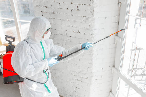 Best Mold Odor Removal Services  in Macopin, NJ