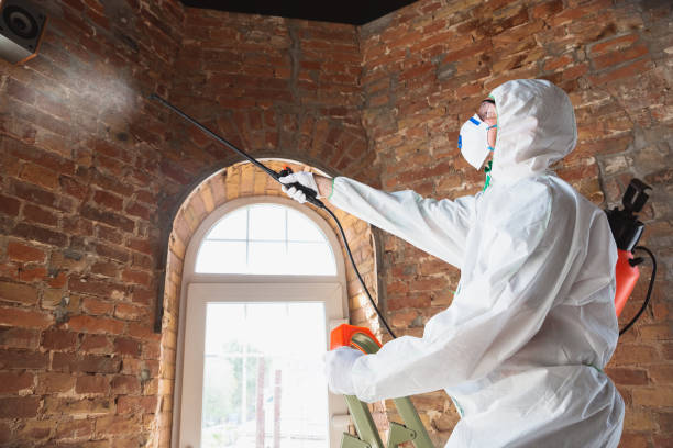 Best Emergency Mold Remediation  in Macopin, NJ