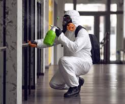 Best Asbestos and Lead Testing During Mold Inspection  in Macopin, NJ